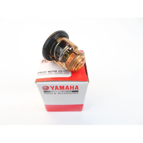 6D9-12411-00 Termostat Yamaha F100