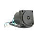 Trim motor Johnson Evinrude 115CV